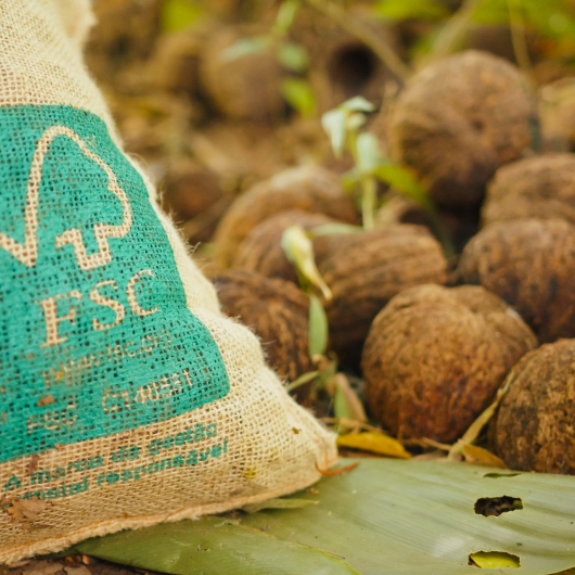 FSC logo 